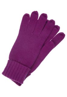 Mexx   Gloves   purple