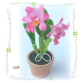 Cattleya Orchid W Pot Miniature Clay Flower Plant Garden Wedding Gift Ca.4   Artificial Flowers