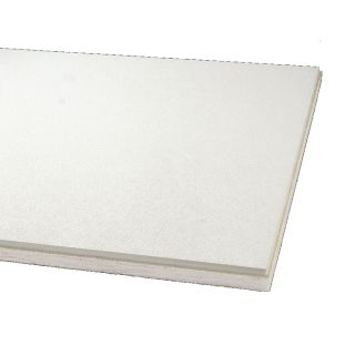 Armstrong 12 Pack Optima Ceiling Tile Panel (Common 24 in x 48 in; Actual 23.562 in x 47.562 in)