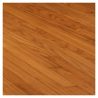 Cryntel Oakwood Chestnut Hardwood Flooring  Sample
