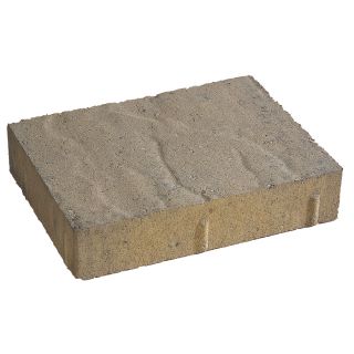 allen + roth Sonoma Rectangle Paver (Common 8 in x 11 in; Actual 8.2 in H x 11 in L)