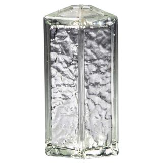 Pittsburgh Corning Tridron 45 Icescapes Premiere Series 4 Pack 7.75 in x 3.75 in x 3.875 in Bullnose Glass Block