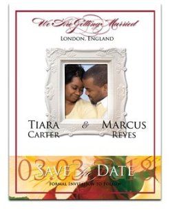 40 Save the Date Cards   Yellow Alstroemeria Rebecca & Cinnamon  Greeting Cards 