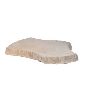 allen + roth Brown Nature Walk Patio Stone (Common 13 in x 19 in; Actual 13 in H x 19 in L)