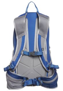 The North Face ANGSTROM 20   Rucksack   blue