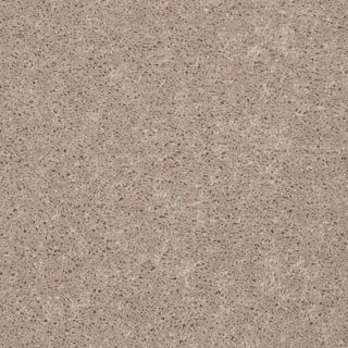 Shaw Solace Flaxseed Textured Indoor Carpet