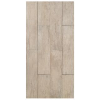 Interceramic 11 Pack Forestland Birch Glazed Porcelain Floor Tile (Common 6 in x 24 in; Actual 5.91 in x 23.63 in)