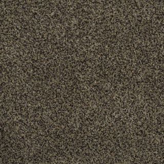 STAINMASTER Trusoft Private Oasis III Star Beach Textured Indoor Carpet