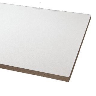 Armstrong 12 Pack Clean Room Ceiling Tile Panel (Common 24 in x 24 in; Actual 23.813 in x 23.813 in)