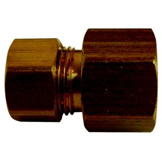 Watts 1/4 in x 1/4 in Threaded Adapter Fitting