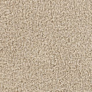 STAINMASTER Active Family Casual Home Baby Fawn Textured Indoor Carpet