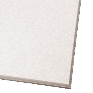 Armstrong 12 Pack Ultima Ceiling Tile Panel (Common 24 in x 12 in; Actual 23.73 in x 11.73 in)