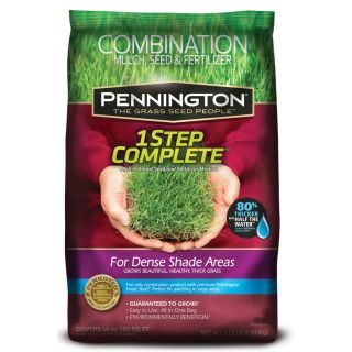 Pennington 1 Step Complete 6.25 lbs Dense Shade Grass Seed