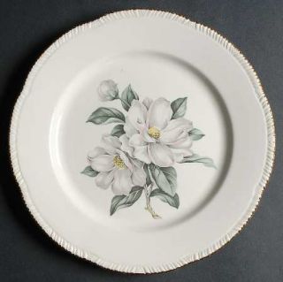 Homer Laughlin  Magnolia (Liberty) Dinner Plate, Fine China Dinnerware   Liberty
