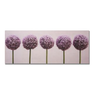 Graham & Brown Row Of Alliums Photographic Print on Canvas 40 234