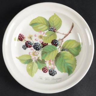 Portmeirion Pomona Salad Plate, Fine China Dinnerware   Fruit And Flowers,White