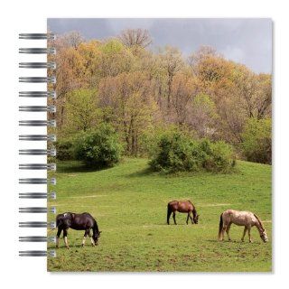 ECOeverywhere Horse In The Field Picture Photo Album, 18 Pages, Holds 72 Photos, 7.75 x 8.75 Inches, Multicolored (PA12426)  Wirebound Notebooks 