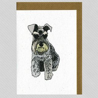 illustrated schnauzer blank card by illustrated cards