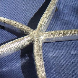 starfish hot plate stand by buy the sea