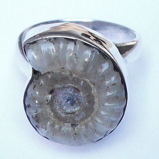 promicroceras sterling silver ring by gilbert and skeggs