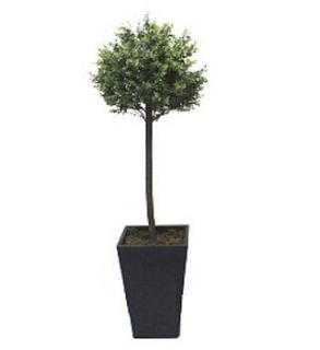 artificial privet topiary tree by artificial landscapes