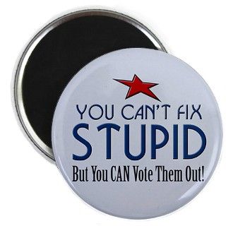 You Cant Fix Stupid Magnet by MarshEnterprises