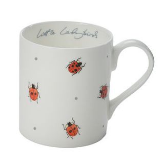 ladybird china mug by sophie allport