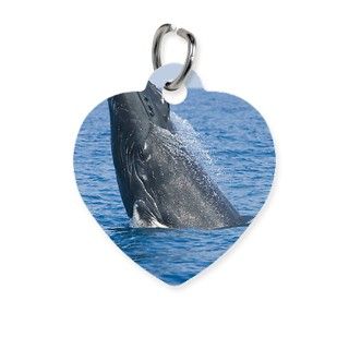 Humpback Whale Breaching Pet Tag by ADMIN_CP_GETTY35497297