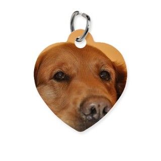 Golden Retriever Dog Very Expressive Pet Tag by Admin_CP70839509