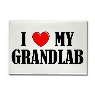 I Love My Grandlab Rectangle Magnet by dakotasden
