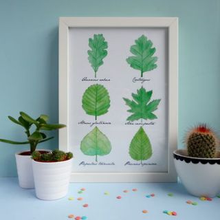 leaf ident botanical watercolour print by raspberry finch