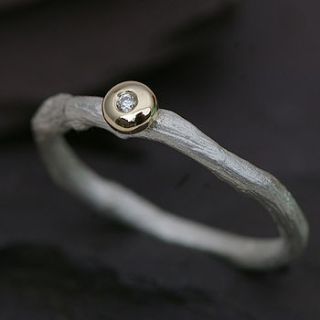 silver ring with a diamond set in gold by anthony blakeney