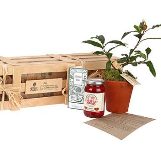 the medlar gift crate by the gluttonous gardener
