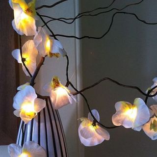 'white orchid' led fairy lights by the forest & co