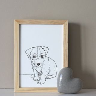 personalised pet portrait line drawings by adam regester art and illustration