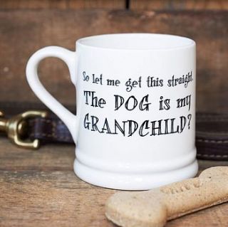 'the dog or cat is my grandchild' mug by sweet william designs