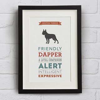 boston terrier dog breed traits print by well bred design