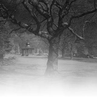 weston park, sheffield, black and white print by paul cooklin