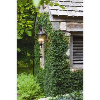 Hinkley Lighting Oxford Outdoor Large Wall Lantern