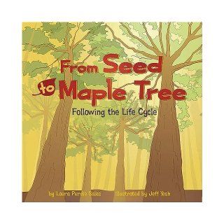 From Seed to Maple Tree Following the Life Cycle (Amazing Science) by Salas, Laura Purdie (9/1/2008) Books