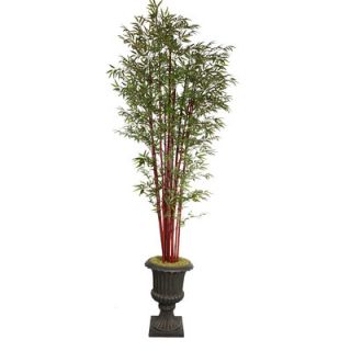Laura Ashley Home Tall Harvest Bamboo Tree in Urn