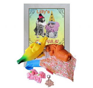 dog lucky bag for your girl pet by bijou gifts