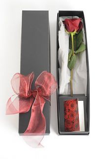 valentine single red rose by the flower studio