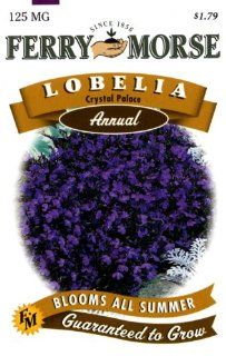 Ferry Morse 1074 Lobelia Annual Flower Seeds, Crystal Palace (125 Milligram Packet)  Lobelia Plants  Patio, Lawn & Garden
