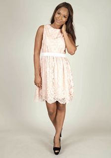 alexia lace dress in pink by rise boutique