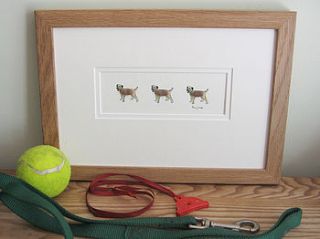 border terrier picture by penny lindop designs