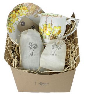 bone china planter gift set by the vintage tea cup