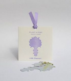 'plant a posy' seed paper gift by plant a bloomer