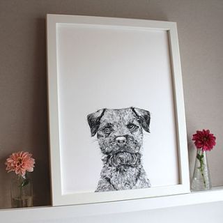 'baxter the border terrier dog' print by ros shiers