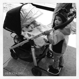 UPPAbaby Cruz Stroller, Jake  Standard Baby Strollers  Baby